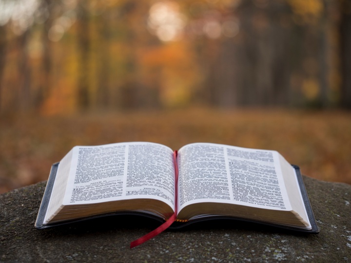Adult Bible Study – St. Mark's Lutheran Church